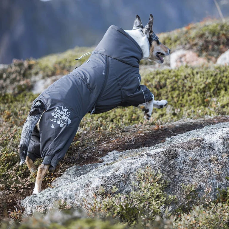 Extreme heilgalli ECO - Hitaeinangrun