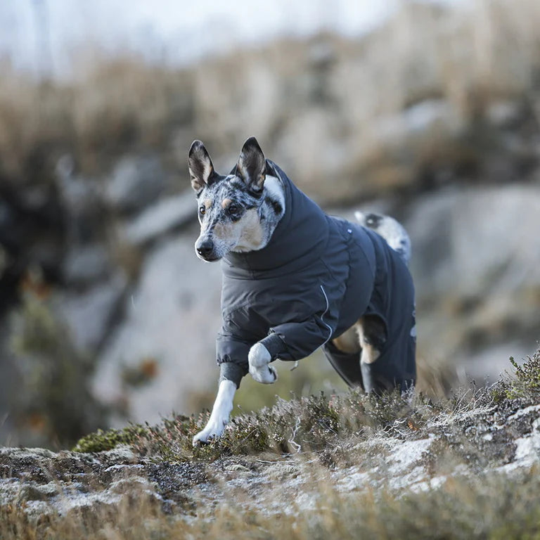 Extreme heilgalli ECO - Hitaeinangrun