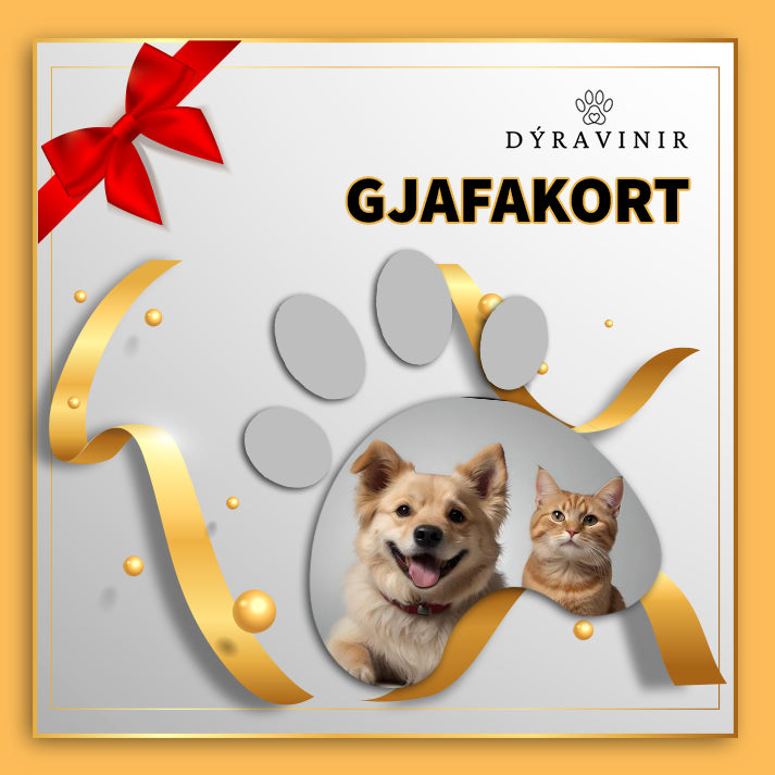 Gjafabréf hjá Dýravinum