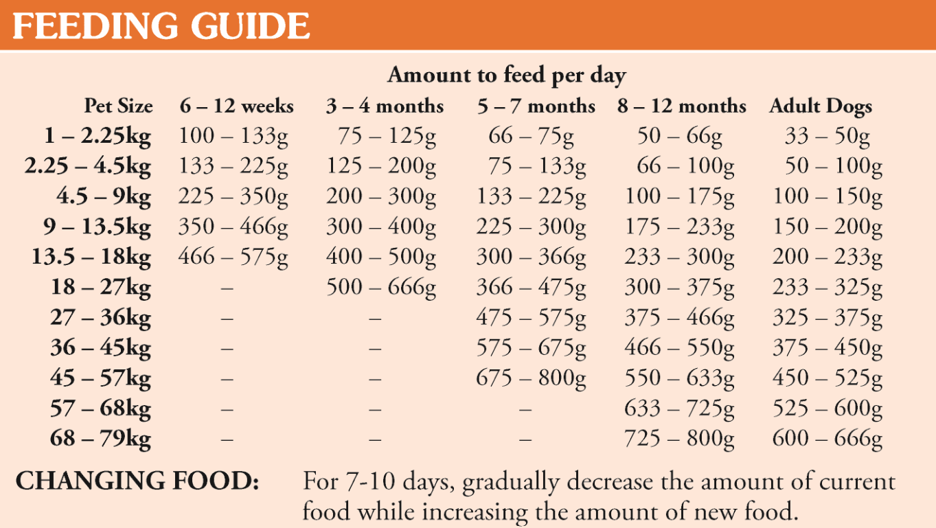 High Prairie Puppy - Dýravinir