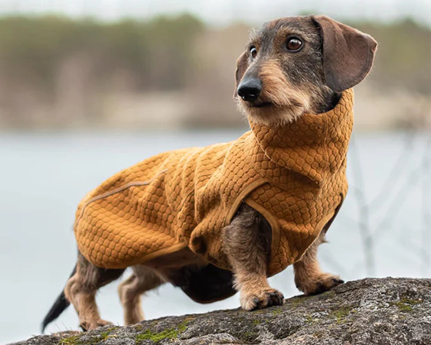 Warming Midlayer Peysa Eco - Hitaeinangrun