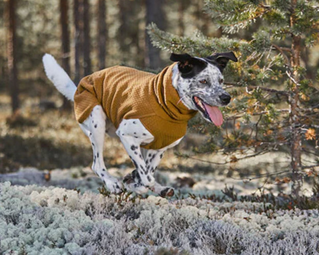 Warming Midlayer Peysa Eco - Hitaeinangrun