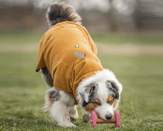 Warming Midlayer Peysa Eco - Hitaeinangrun