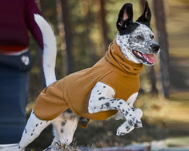 Warming Midlayer Peysa Eco - Hitaeinangrun