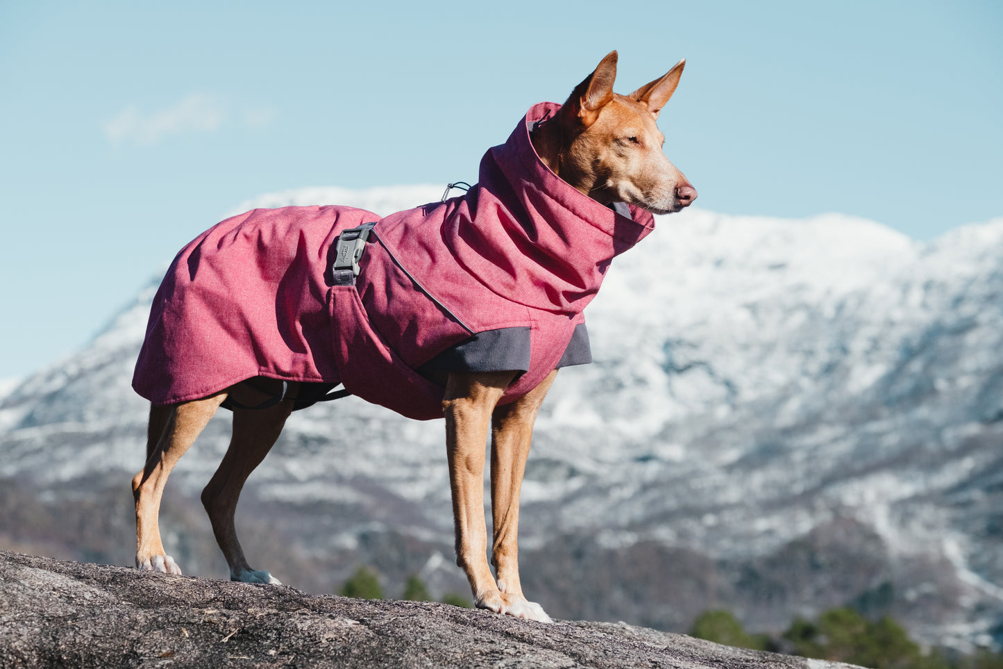 Expedition Parka Jakki