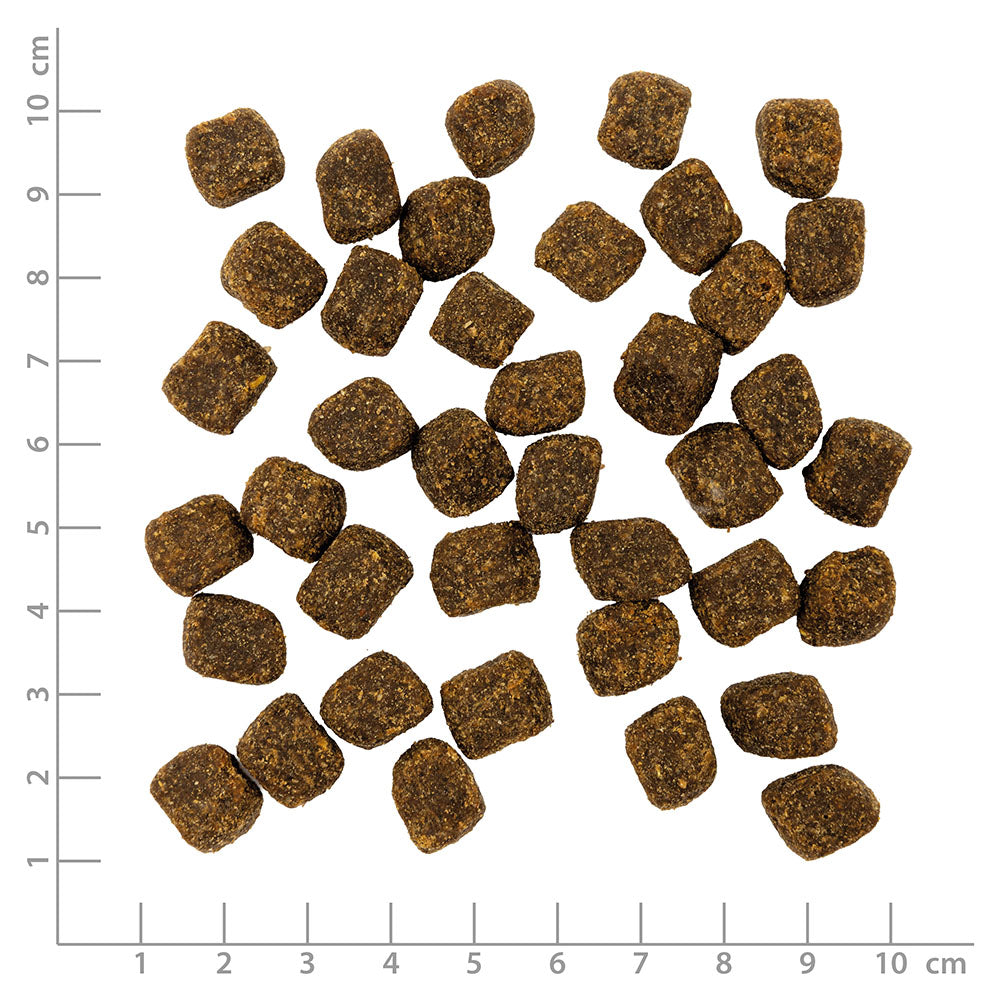 VetLine Care Hypoallergenic - Hrossakjöt 100g