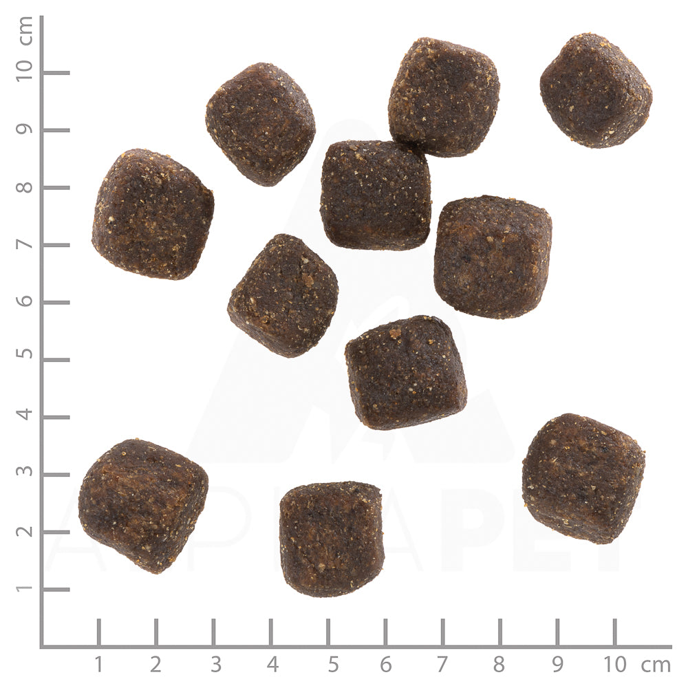 Wild Duck Squashies - Önd 300g