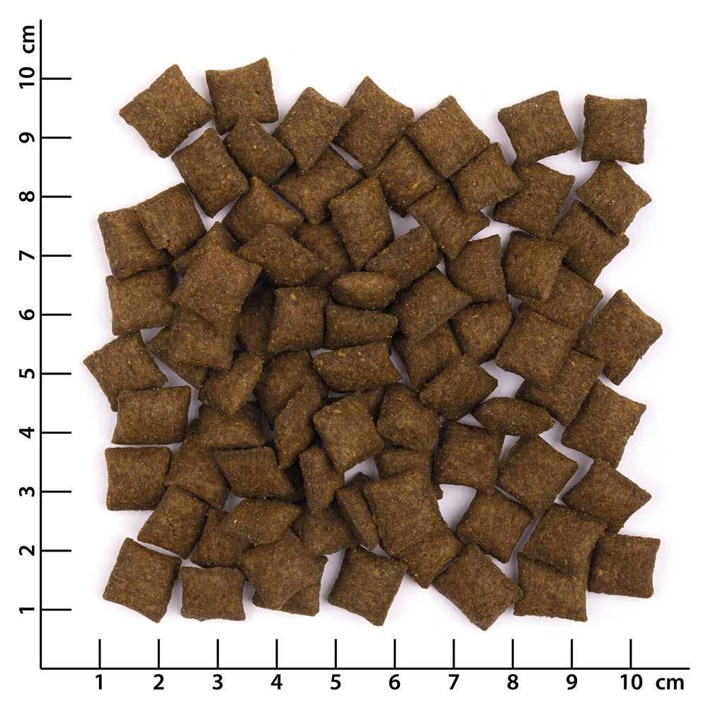 Wildes Land Crunchy & Soft - Kjúklingur og Lax 50g