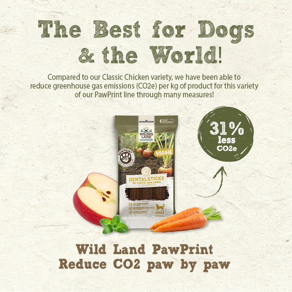 Wildes Land Dental Veggie Adult Tannheilsunammi 180g