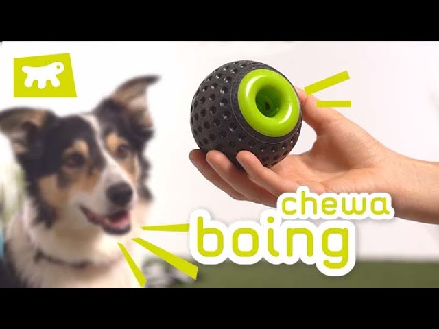 Chewa Boing m/nammi - Tannheilsu og leikfangabolti (non-toxic)