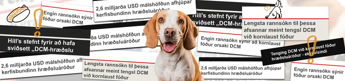 Meint tenging DCM við kornlaust fóður afsönnuð: Nýjustu rannsóknir sýna ítrekað sömu niðurstöðu - Engin tenging.