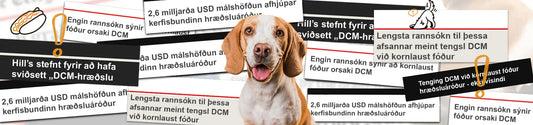 Meint tenging DCM við kornlaust fóður afsönnuð: Nýjustu rannsóknir sýna ítrekað sömu niðurstöðu - Engin tenging.