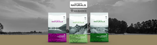Diamond Naturals Large Breed – Næring sérhönnuð fyrir stóra hunda