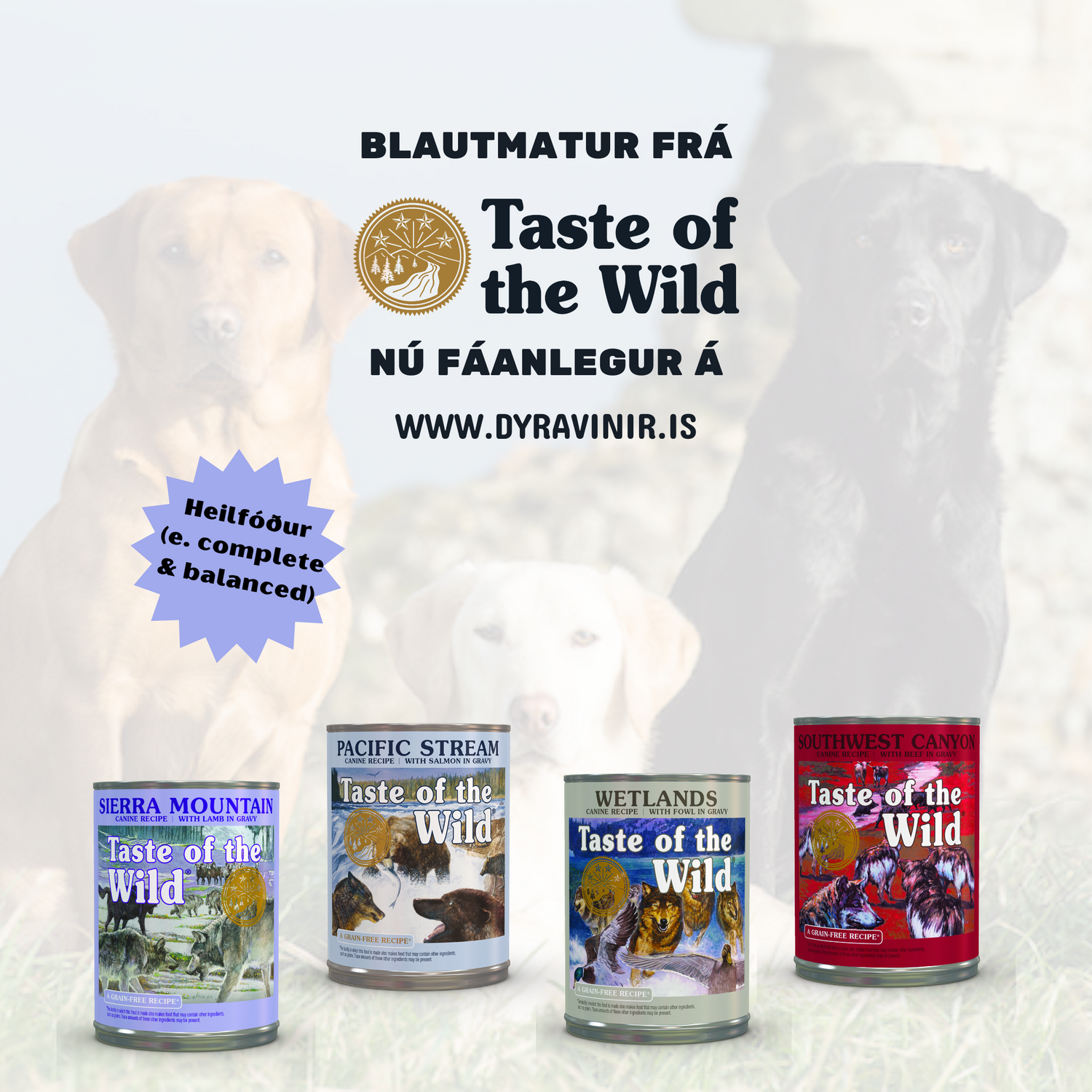 Blautmatur