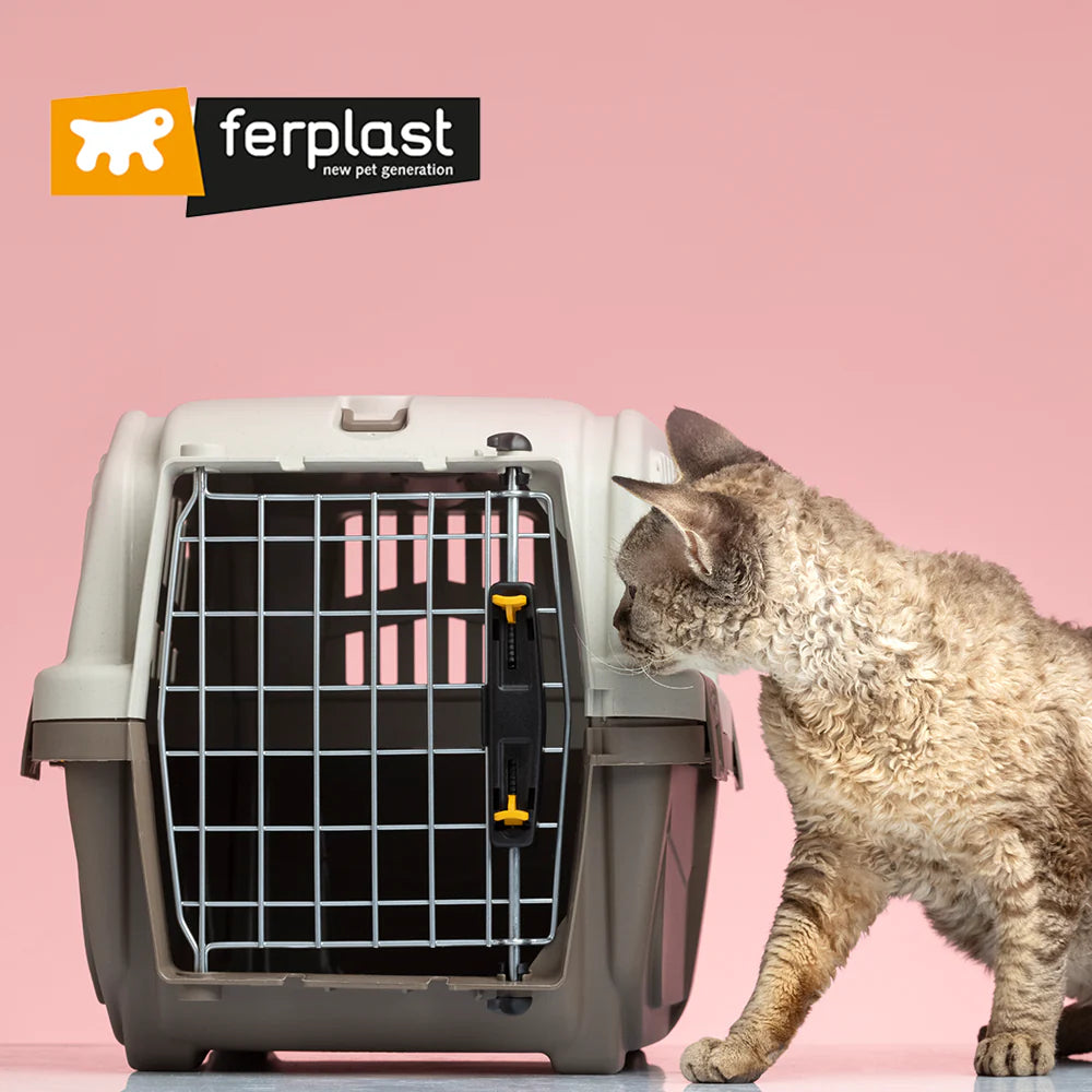 Aðrar vörur - Kettir