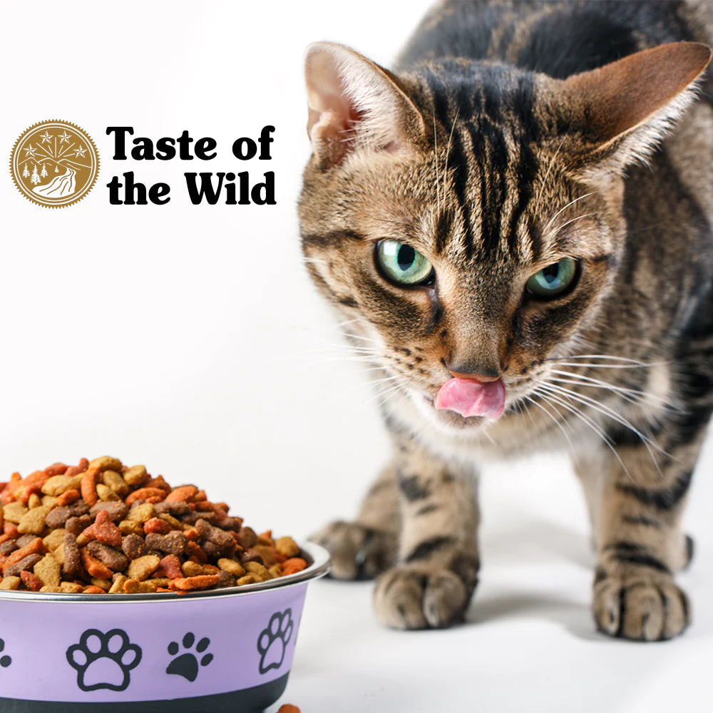 Kettir - Þurrfóður