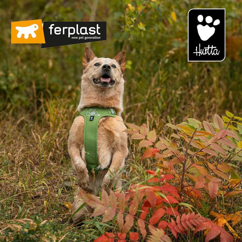 Beisli, taumar og ólar