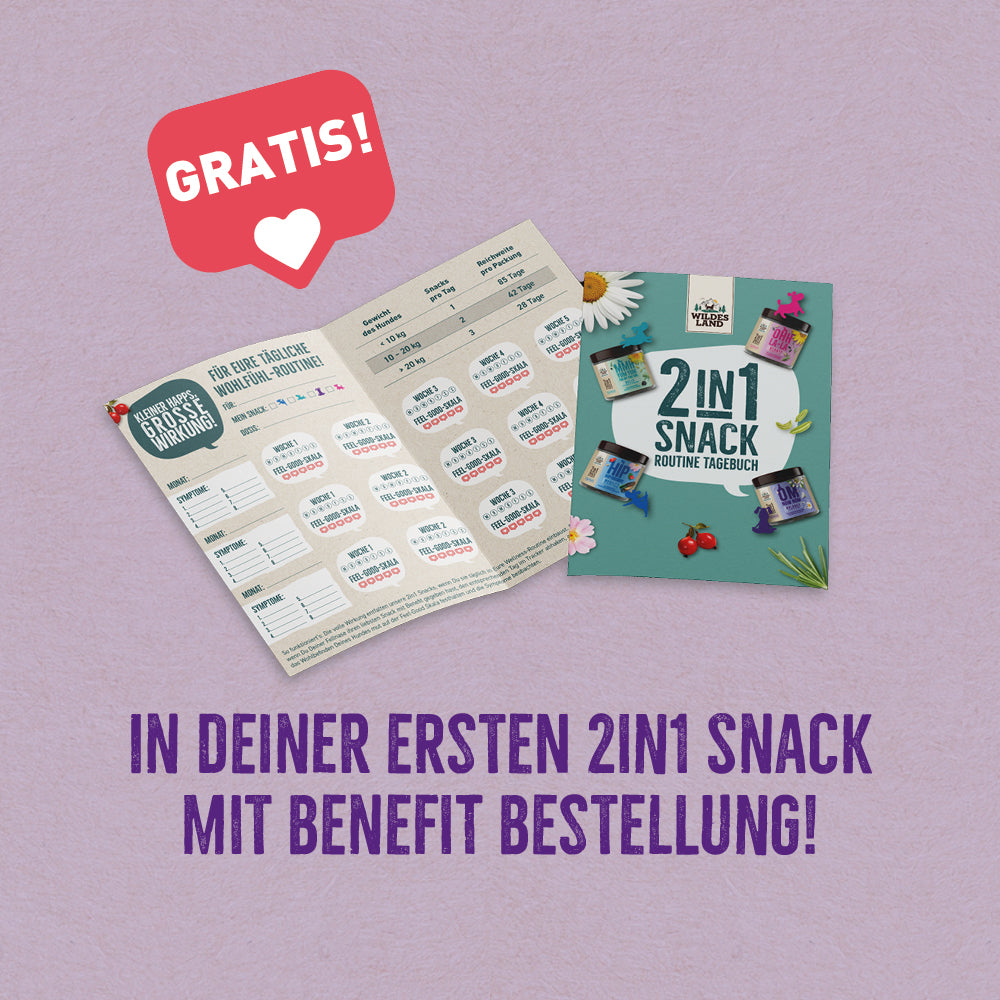 BALANCE 2F1 – Fyrir slökun og einbeitingu