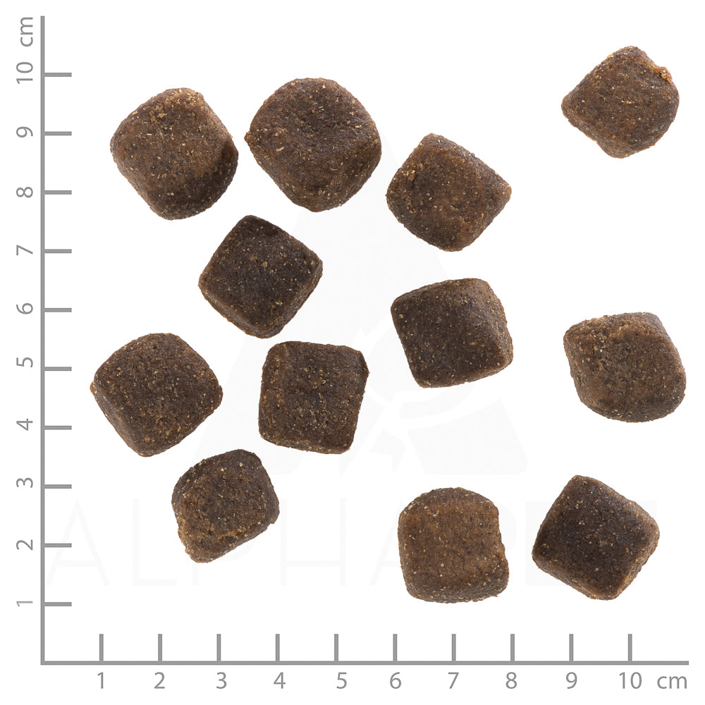 Dark Forest Squashies - Dádýr 300g