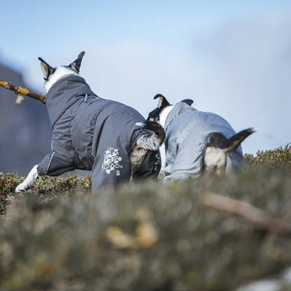 Extreme heilgalli ECO - Hitaeinangrun