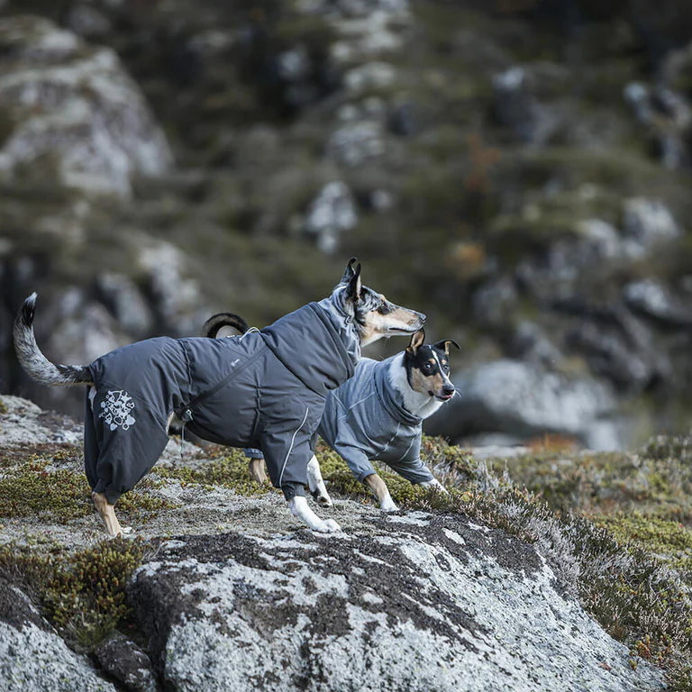 Extreme heilgalli ECO - Hitaeinangrun