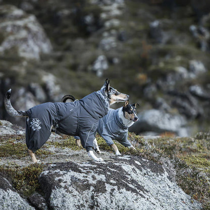Extreme heilgalli ECO - Hitaeinangrun