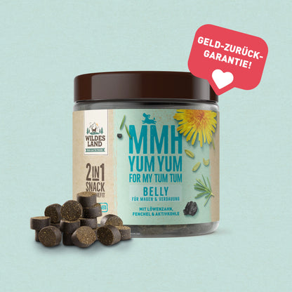 BELLY 2F1 – Fyrir maga og meltingu
