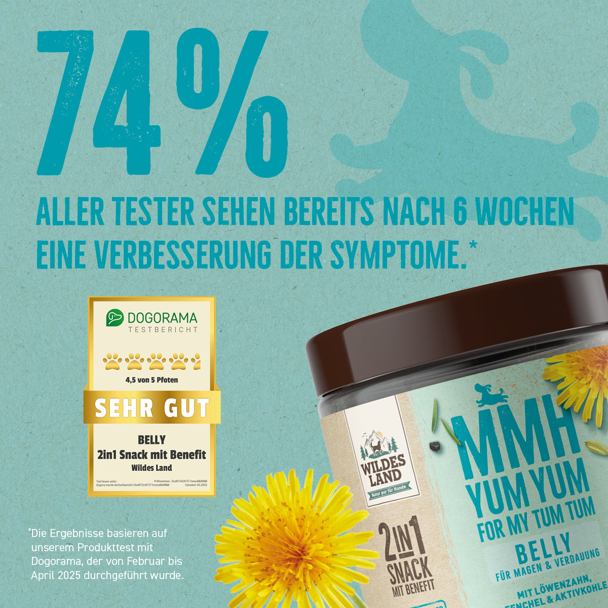 BELLY 2F1 – Fyrir maga og meltingu