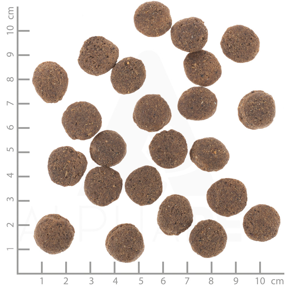 VetLine Hypoallergenic - Hrossakjöt 2kg