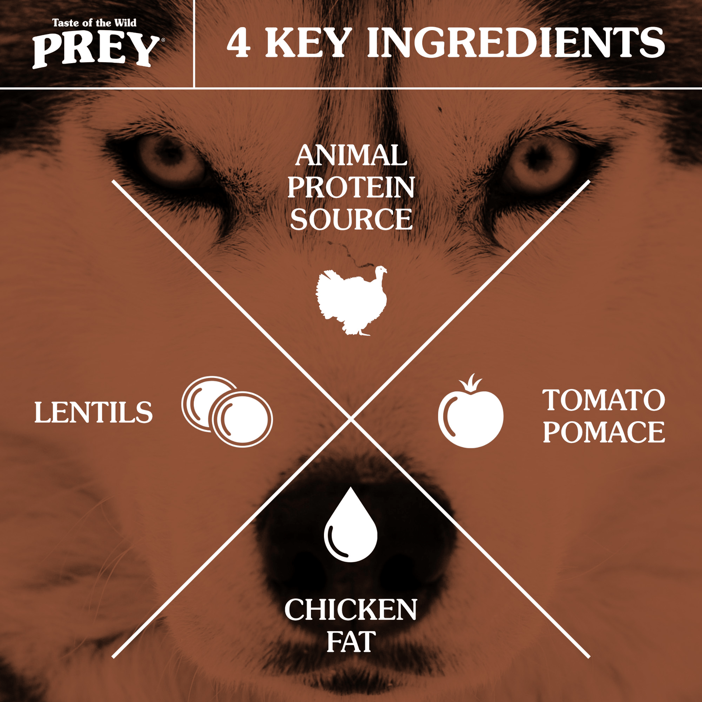 PREY Cage-Free Turkey hundafóður - Kalkúnn 3,63kg