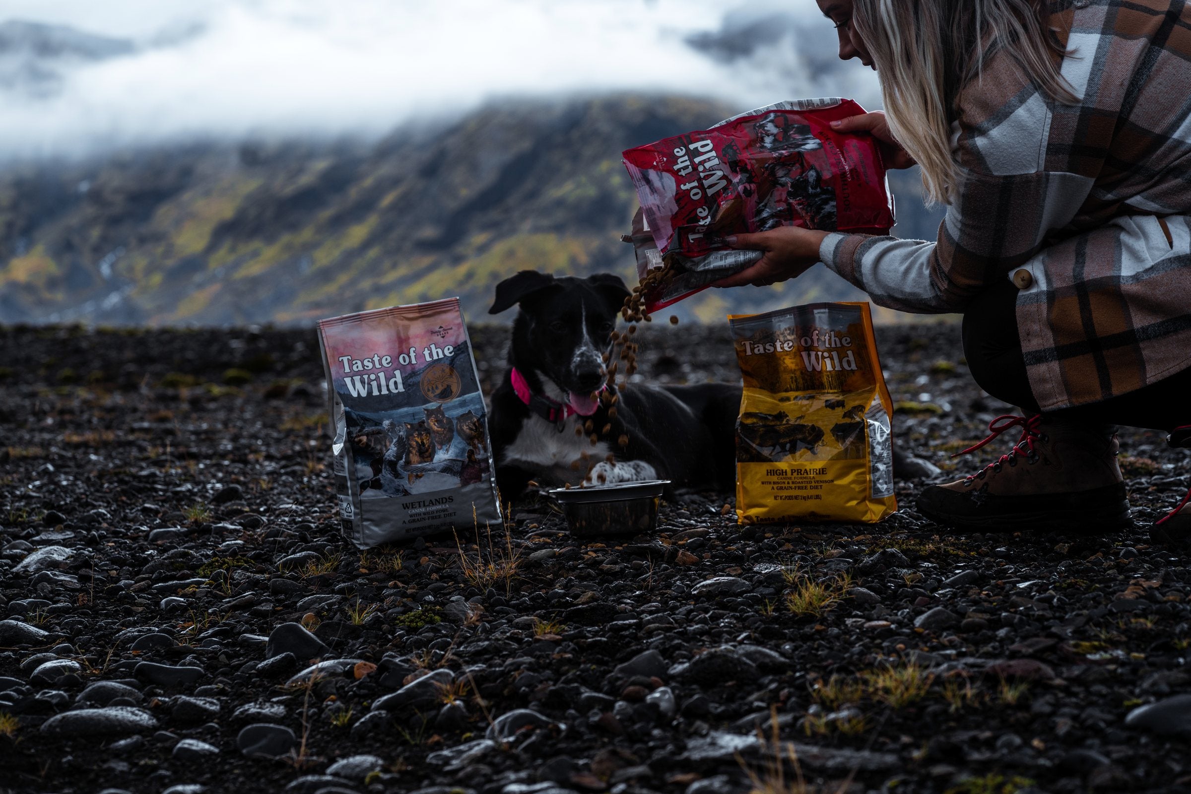 Hundur borðar úti við hlið þriggja poka af Taste of the Wild.