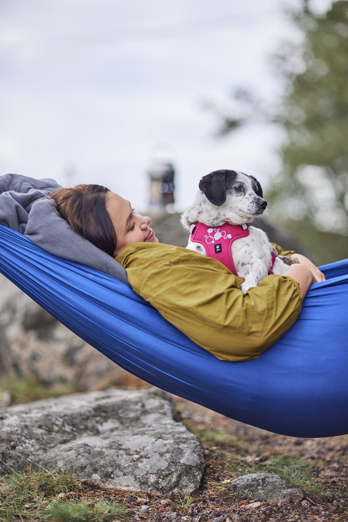 Hundur í Weekend Warrior beisli í litnum Ruby úti í náttúrunni