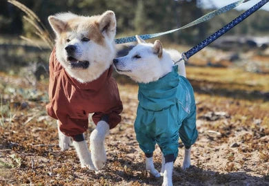 Mudventure Heilgalli ECO