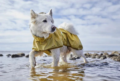 Mudventure endurskinsjakki