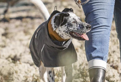 Warming Midlayer Peysa ECO