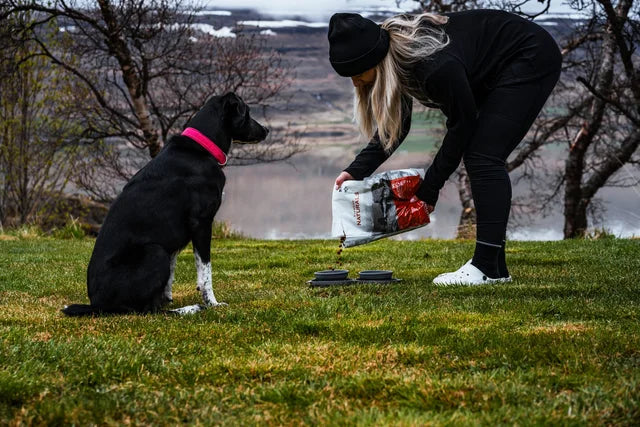 Jökla bíður á meðan fóður er sett í skálina