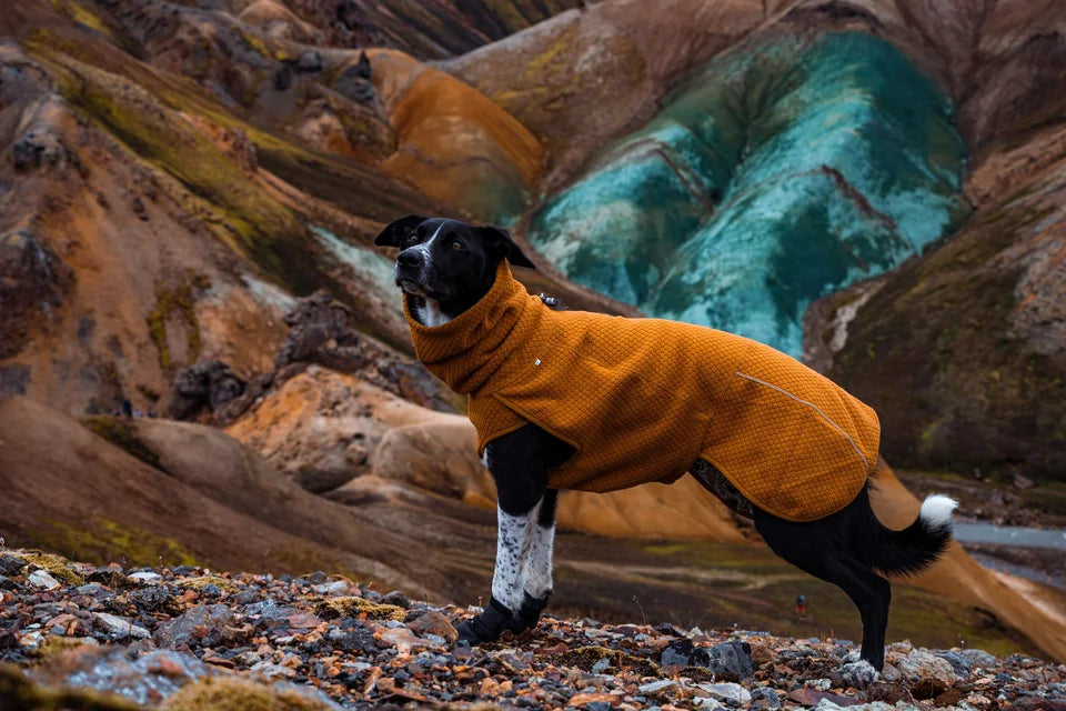 Jökla í appelsínugulum Hurtta jakka í íslensku fjalllendi